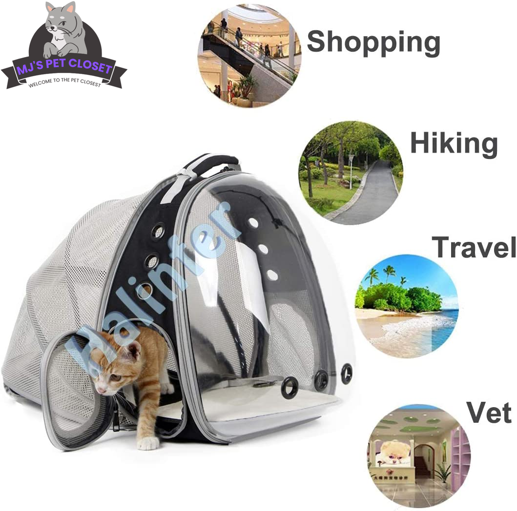 Cat Bubble Backpack with Fan