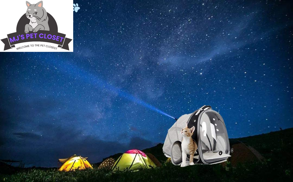Cat Bubble Backpack with Fan